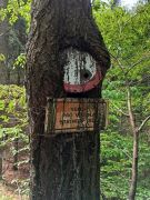 Klub českých turistů, Klatovy - Klatovský karafiát