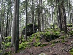 Klub českých turistů, Klatovy - Jarní setkání turistů PK