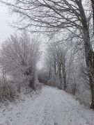 Klub českých turistů, Klatovy - Pochod Křižíkovou stezkou