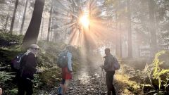 Klub českých turistů, Klatovy - Přes devět tisícovek Bavorského lesa