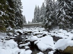 Klub českých turistů, Klatovy - Zimní Šumavou 2026