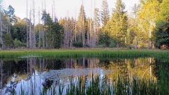 Klub českých turistů, Klatovy - Bavorská Šumava potřetí – Grosser Falkenstein