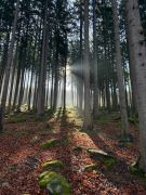 Klub českých turistů, Klatovy - Vycházka po trase KK