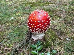 Klub českých turistů, Klatovy - Podzimní víkendová akce (Slavkovský les)