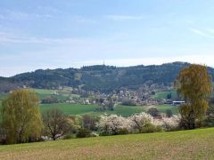 Klub českých turistů, Klatovy - Gymnaziální padesátka