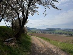 Klub českých turistů, Klatovy - Gymnaziální padesátka