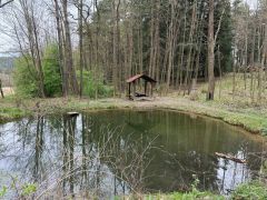 Klub českých turistů, Klatovy - Gymnaziální padesátka
