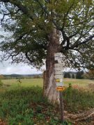 Klub českých turistů, Klatovy - Podzimní víkendová akce (Šumava)