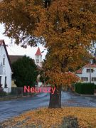 Klub českých turistů, Klatovy - Podzim pod Zelenou horou