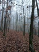 Klub českých turistů, Klatovy - Mikulášská vycházka (Chudenice)